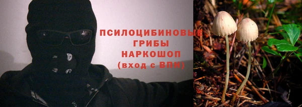 а пвп мука Алзамай
