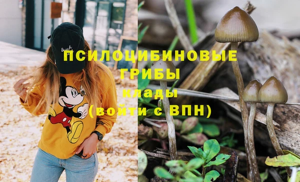 гашик Абинск