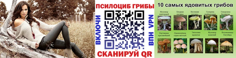 Галлюциногенные грибы Cubensis  Отрадная 